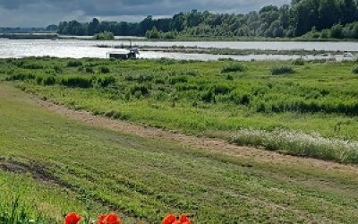 loire chaumont sur loire